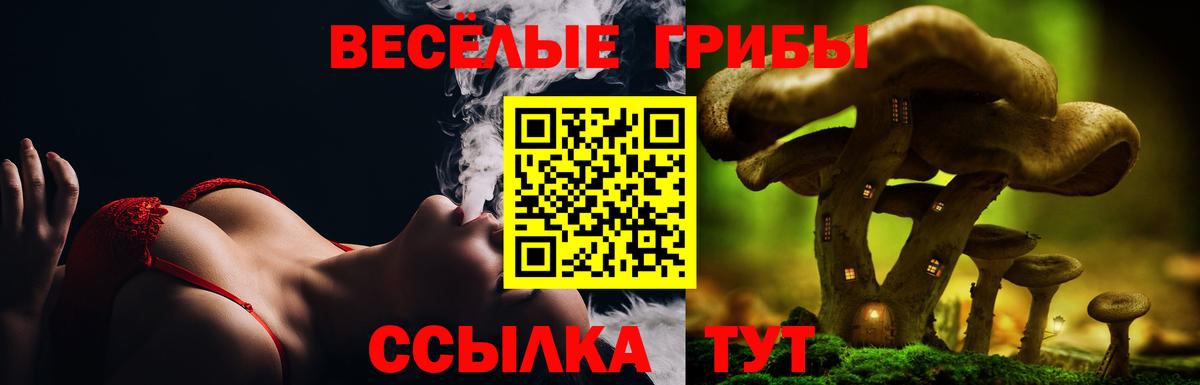 Галлюциногенные грибы ЛСД  Галлюциногенные грибы Cubensis  Вход с VPN  Братск 